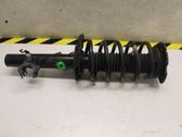 Front shock absorber with coil spring