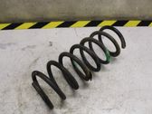 Rear coil spring