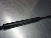 Tailgate strut