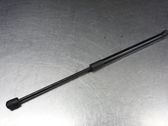Tailgate strut