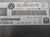Injection control unit/module