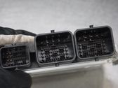 Injection control unit/module