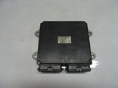 Injection control unit/module