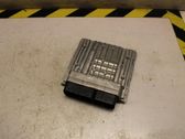 Injection control unit/module