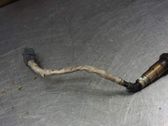 Lambda probe sensor
