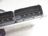 Injection control unit/module