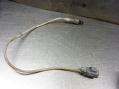 Lambda probe sensor
