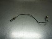 Abgastemperatursensor