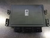 Injection control unit/module