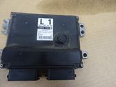 Injection control unit/module