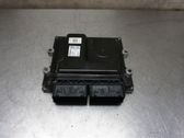 Injection control unit/module