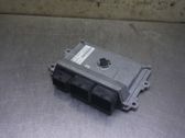 Injection control unit/module