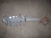 Bremssattel hinten