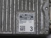Unidad de control/módulo de la inyección