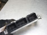Injection control unit/module