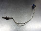 Lambda probe sensor