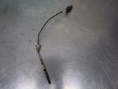 Exhaust gas temperature sensor