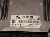 Injection control unit/module