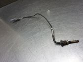 Capteur de température des gaz d'échappement