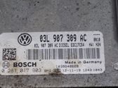 Injection control unit/module