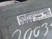 Injection control unit/module