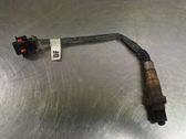 Sonde lambda