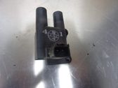 High voltage ignition coil