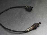 Sonde lambda