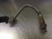 Sonde lambda