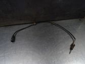 Capteur de température des gaz d'échappement