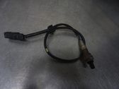 Sonde lambda