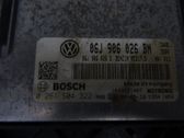 Injection control unit/module