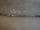 Drive shaft (set)