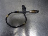 Sonde lambda