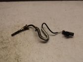 Exhaust gas temperature sensor