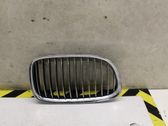 Front bumper lower grill