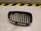 Front bumper lower grill