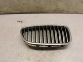 Front bumper lower grill