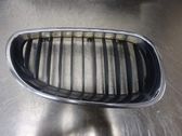 Front bumper lower grill