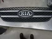 Grille inférieure de pare-chocs avant