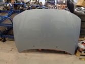 Engine bonnet/hood