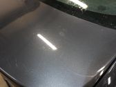 Tailgate/trunk/boot lid