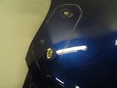 Tailgate/trunk/boot lid