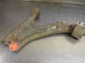 Front lower control arm/wishbone