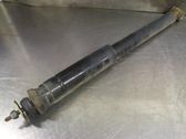 Rear shock absorber/damper