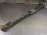 Stoßdämpfer hinten