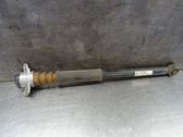 Rear shock absorber/damper