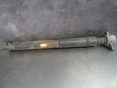 Stoßdämpfer hinten