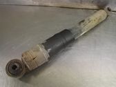 Rear shock absorber/damper