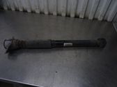 Stoßdämpfer hinten